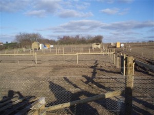 Sheds & chicken "hotel" going up